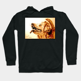 Labrador Hoodie